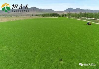 不忘初心，砥礪前行，我們一直在路上！